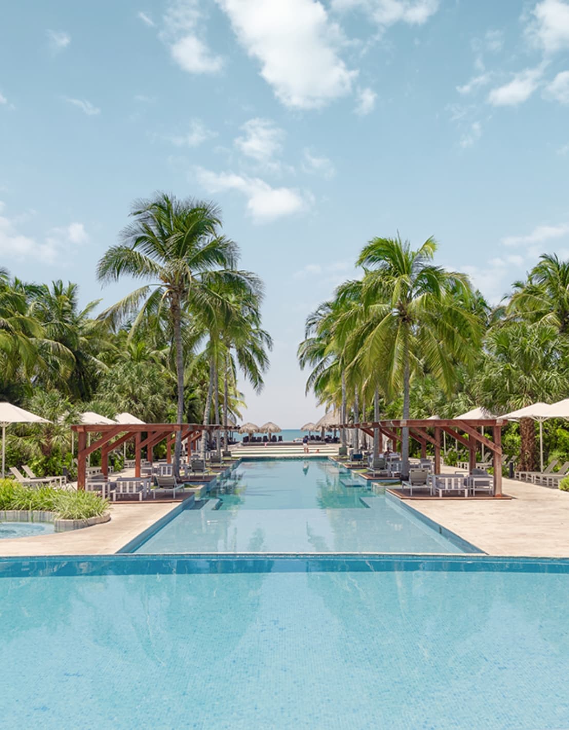 Palm-lined infinity pool at Buenaventura's beach club
