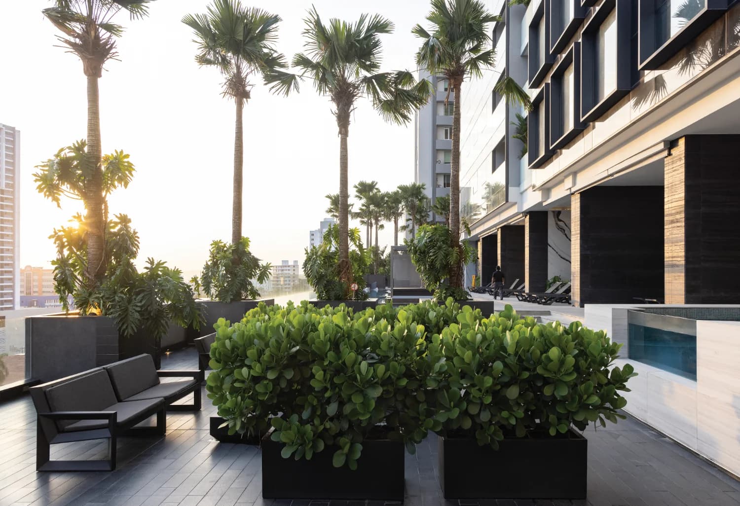 Nuovo by Armani/Casa landscaped pool terrace with lounge seating and palms