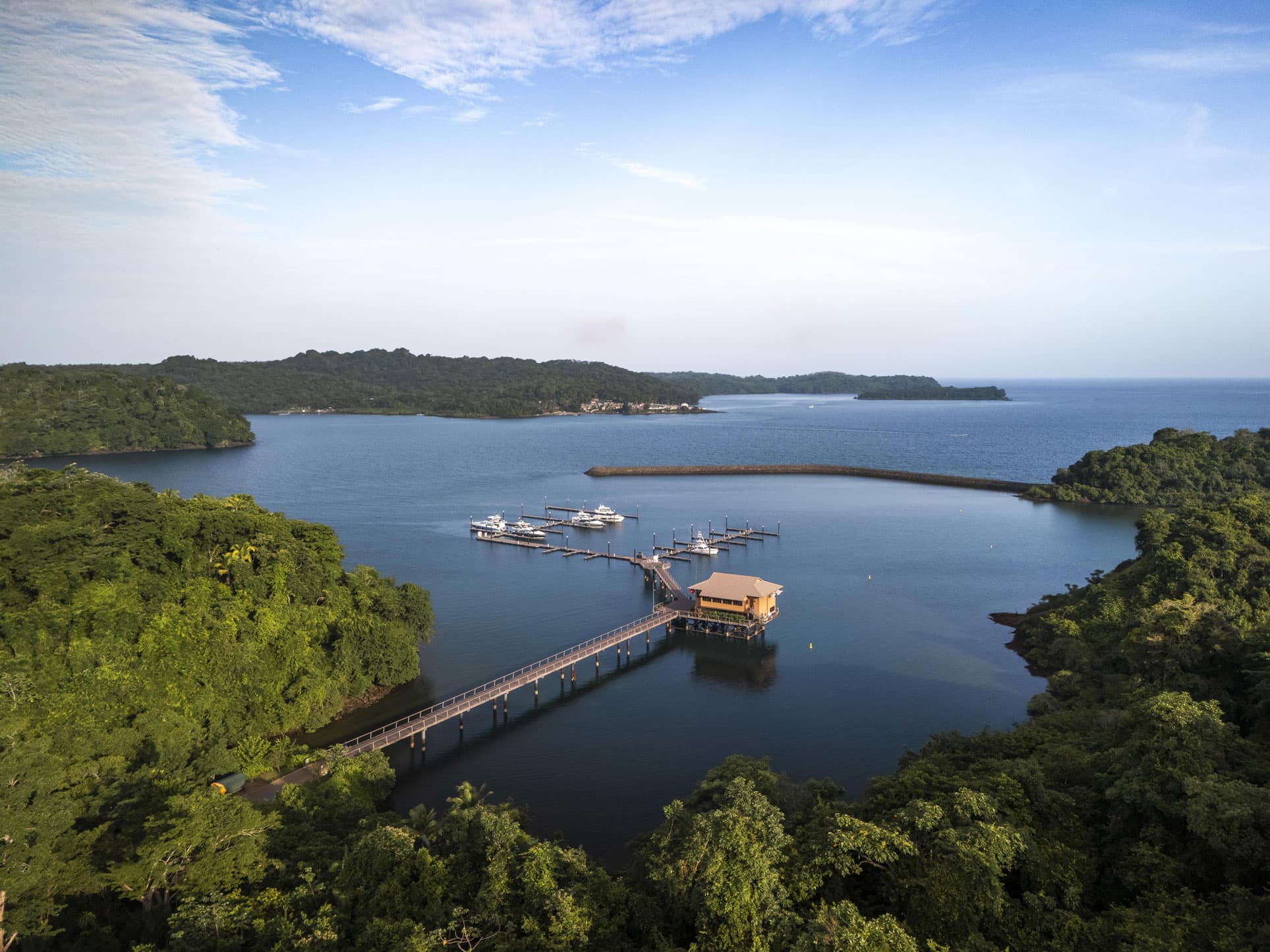 La Peninsula Marina at Pearl Island seen from the forested hillside