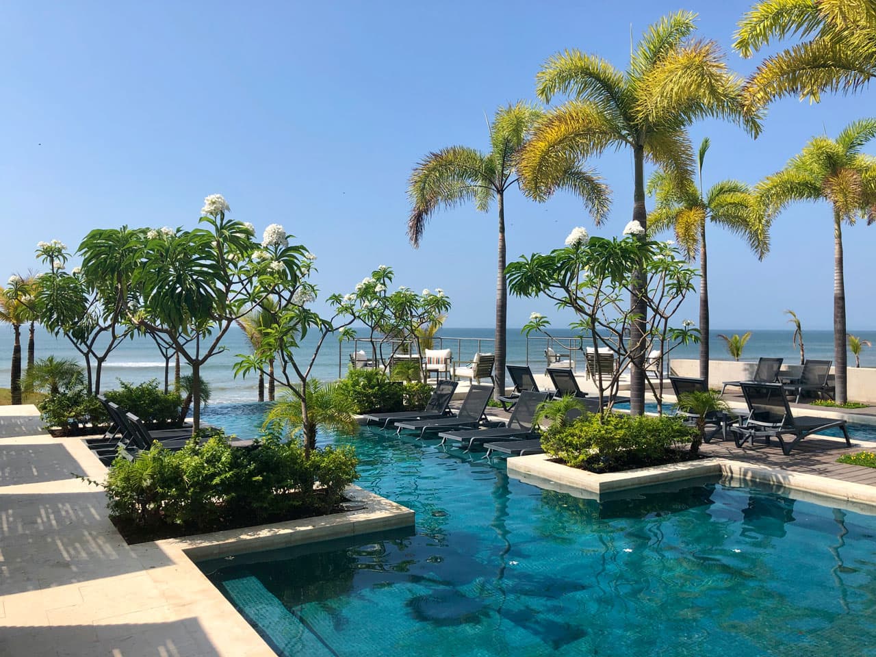 Garden pool with palm trees and loungers facing the ocean at Solaria