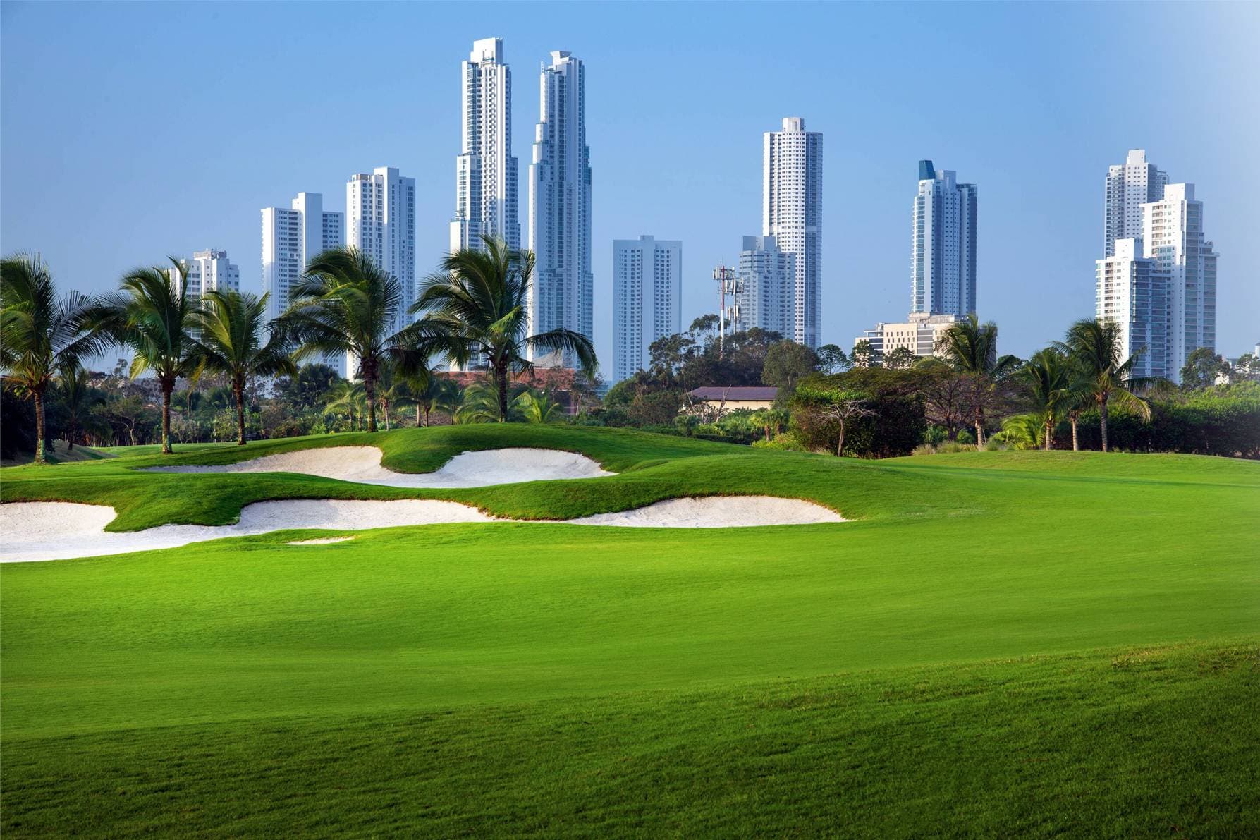 Santa Maria golf course fairway with the Panama City skyline behind