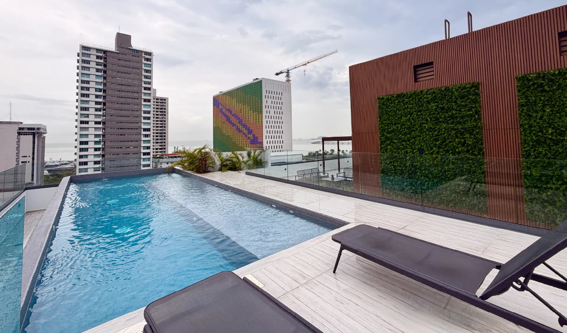 Rooftop pool with loungers and a green wall at Alexa Bella Vista