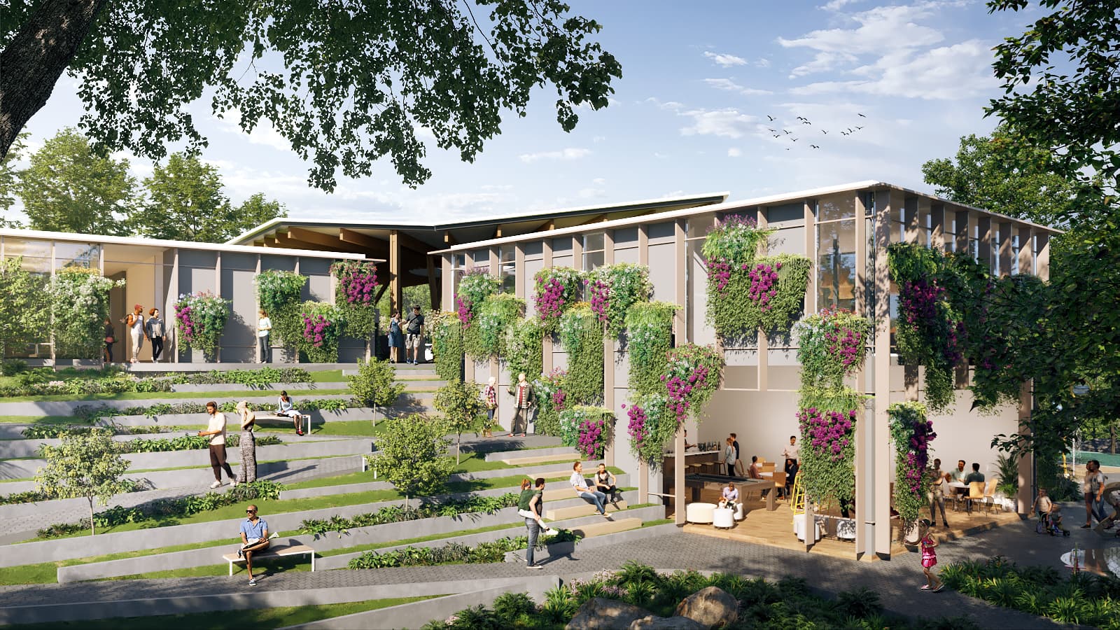 Aura social building with terraced garden seating