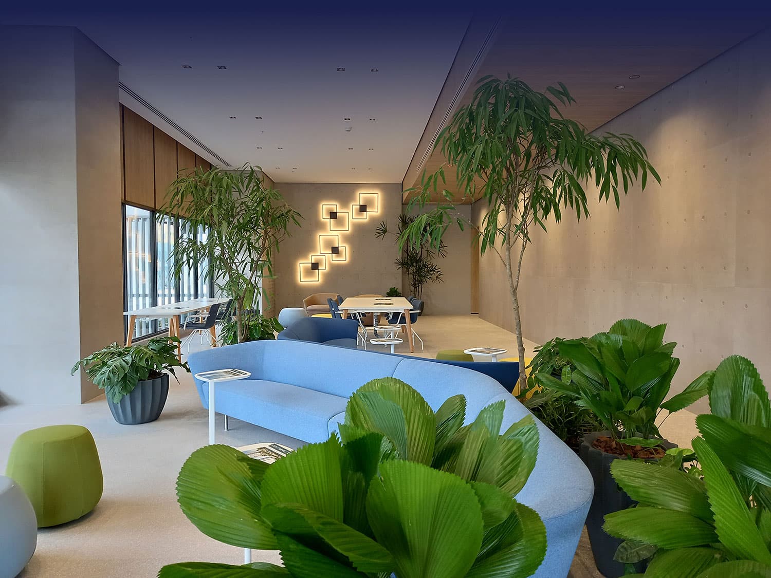 Greenwood Towers lobby lounge with blue sofa and plants