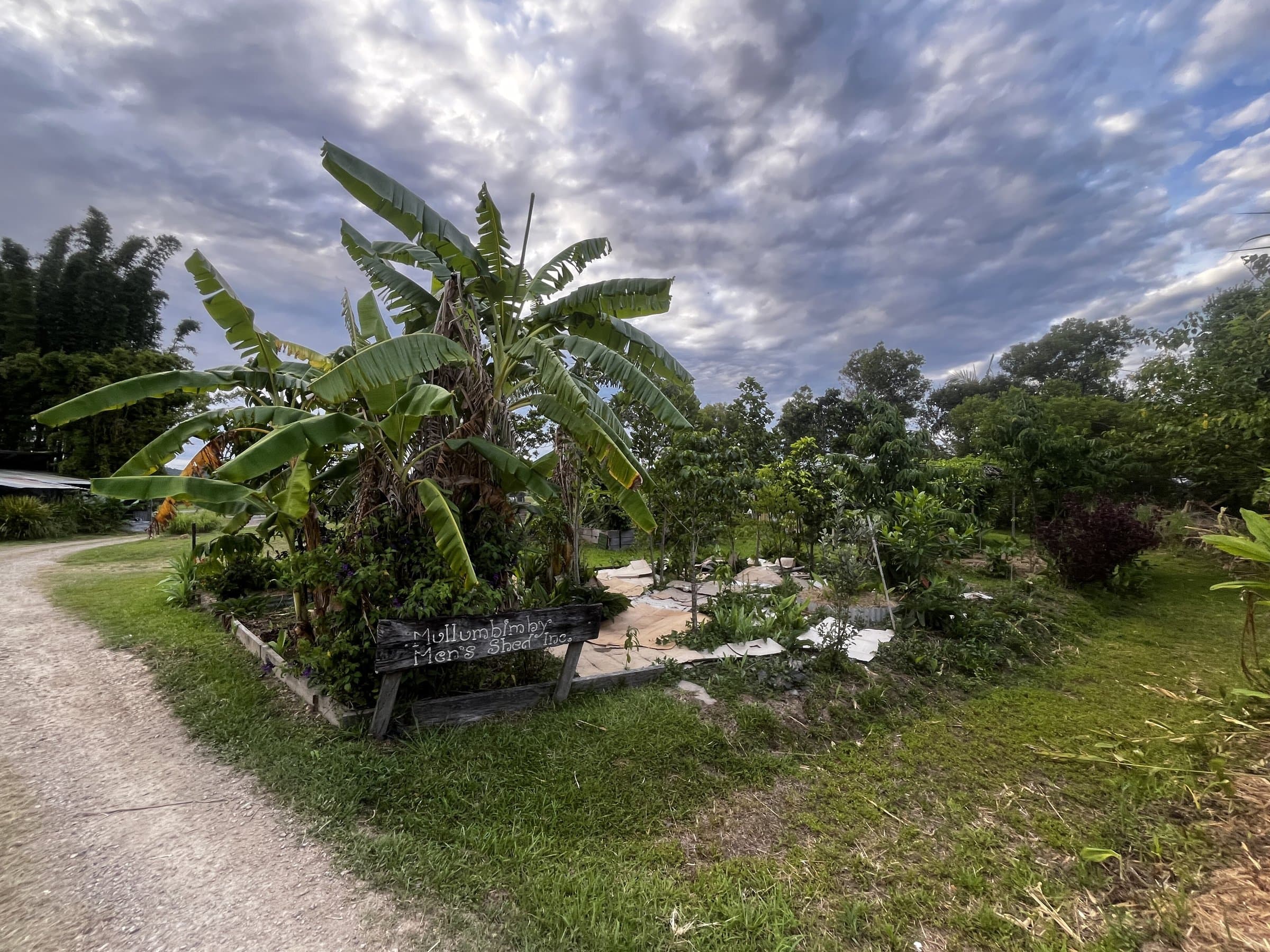 Community garden with banana plants, fruit trees and a footpath under a cloudy sky