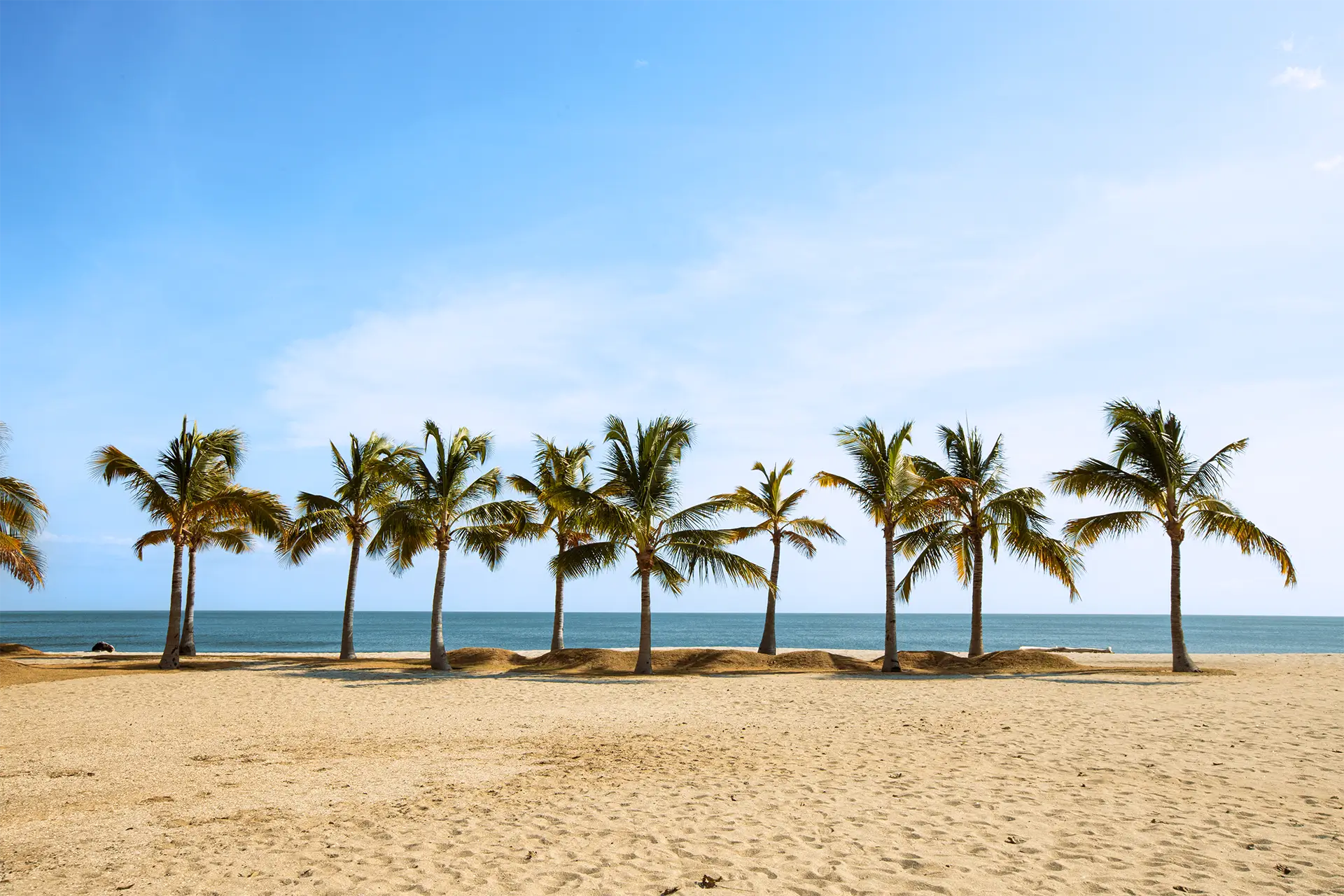 Palm-lined white sand beach at Playa Caracol, steps from Olas del Mar