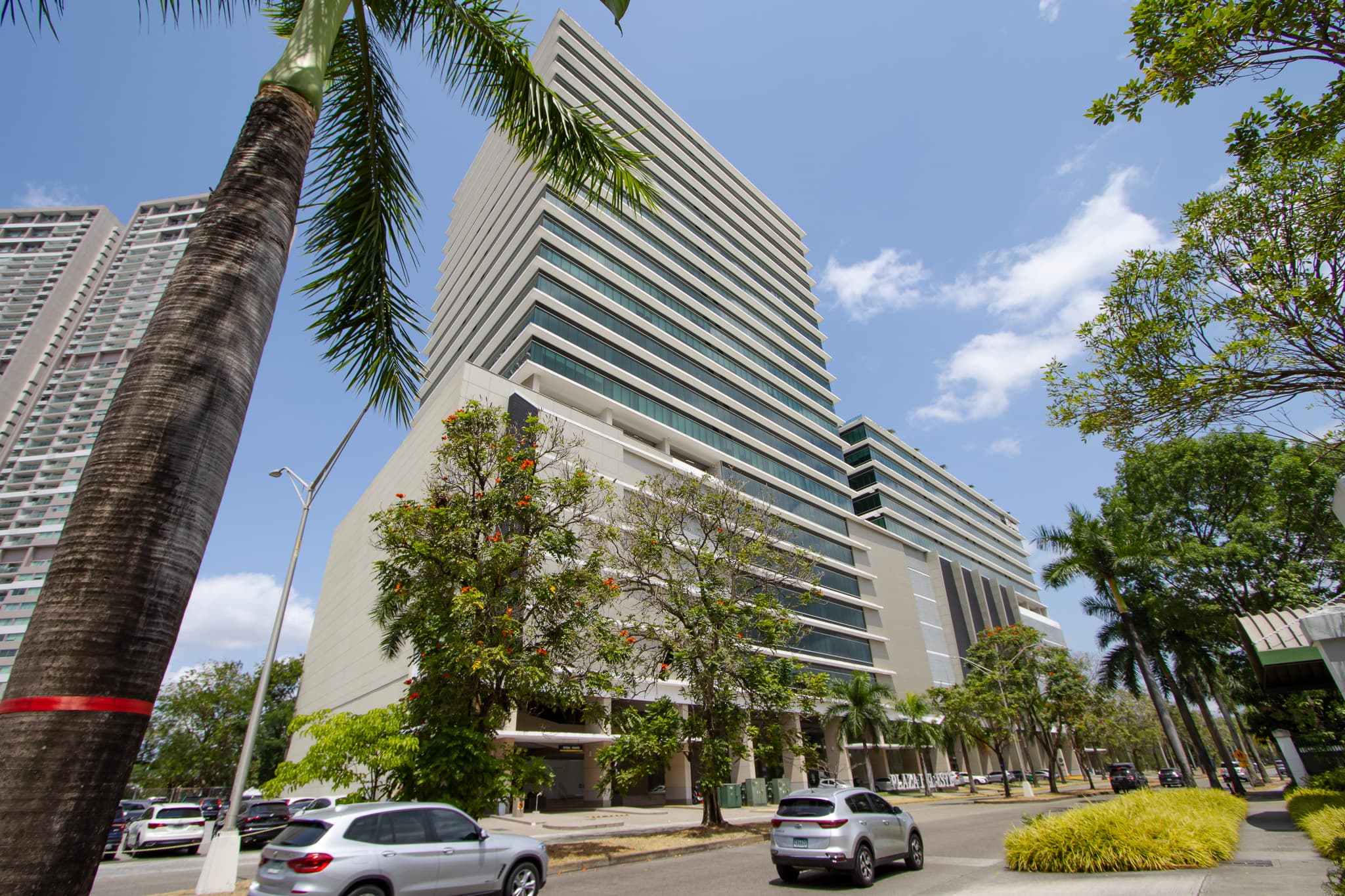Plaza del Este corporate tower seen from the street among palm trees