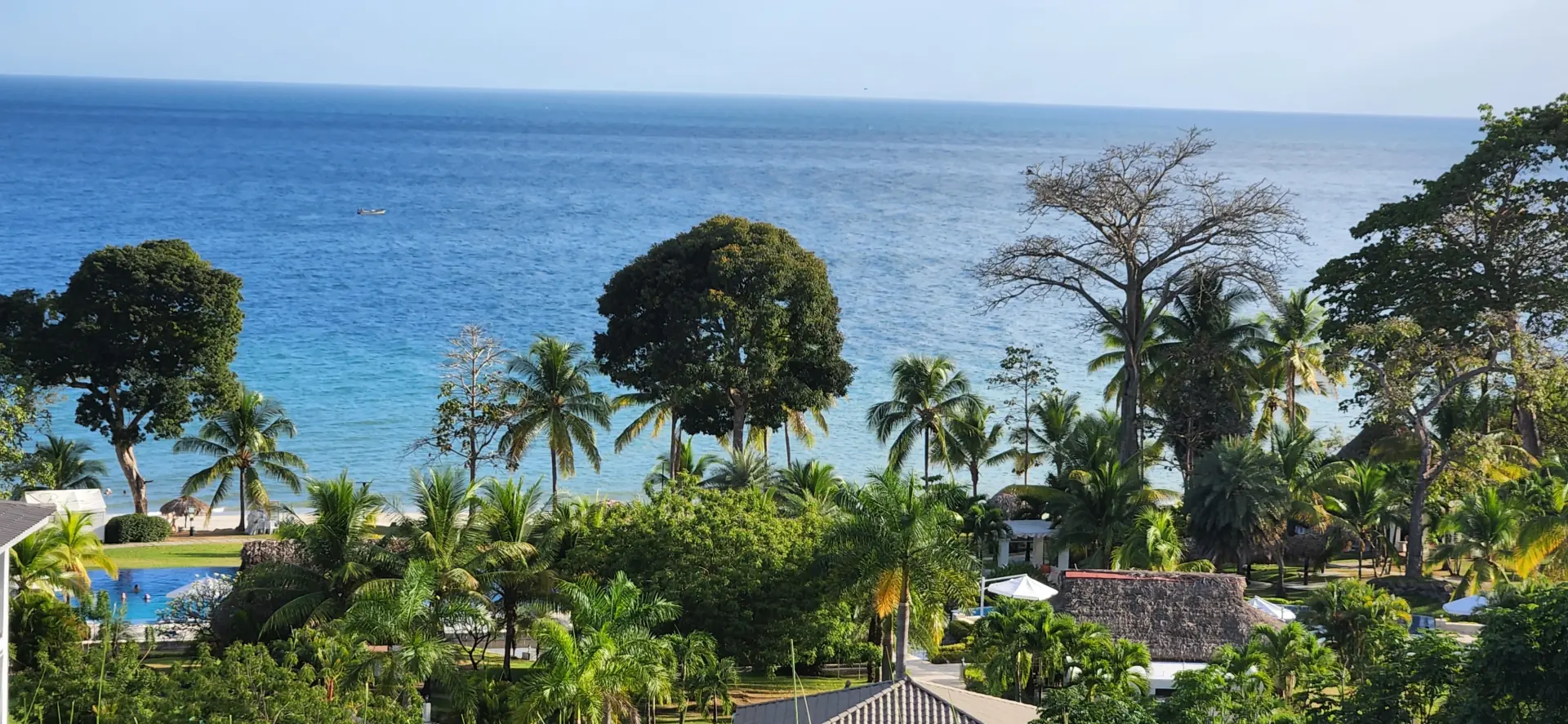 Ocean view over tropical trees and palms at Bijao, home of Veranera