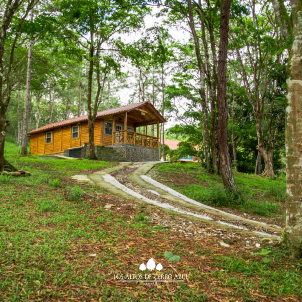 Wooden cabin with a gravel driveway in the woods at Los Altos de Cerro Azul