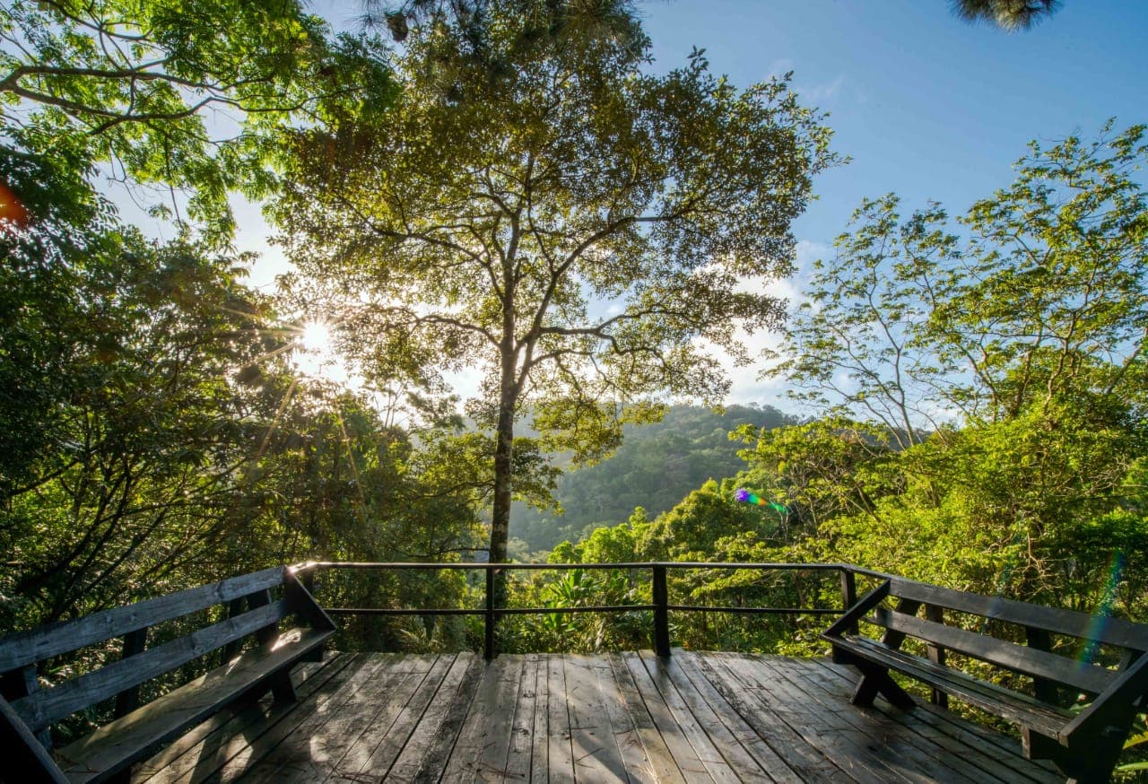 Wooden lookout deck with benches over the forested mountains of Cerro Azul