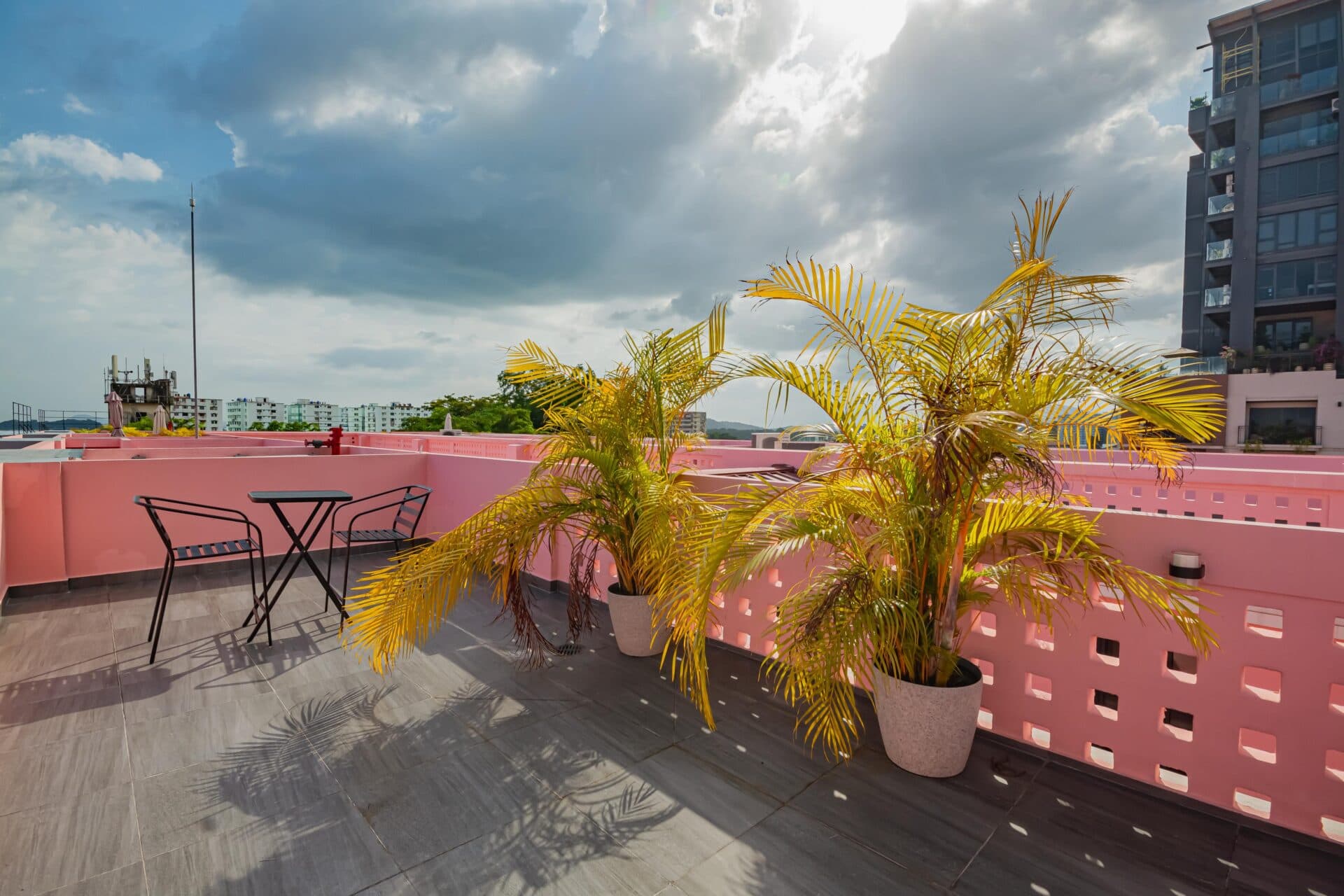 Rooftop terrace with palms and bistro tables overlooking the Panama City skyline at La Quince