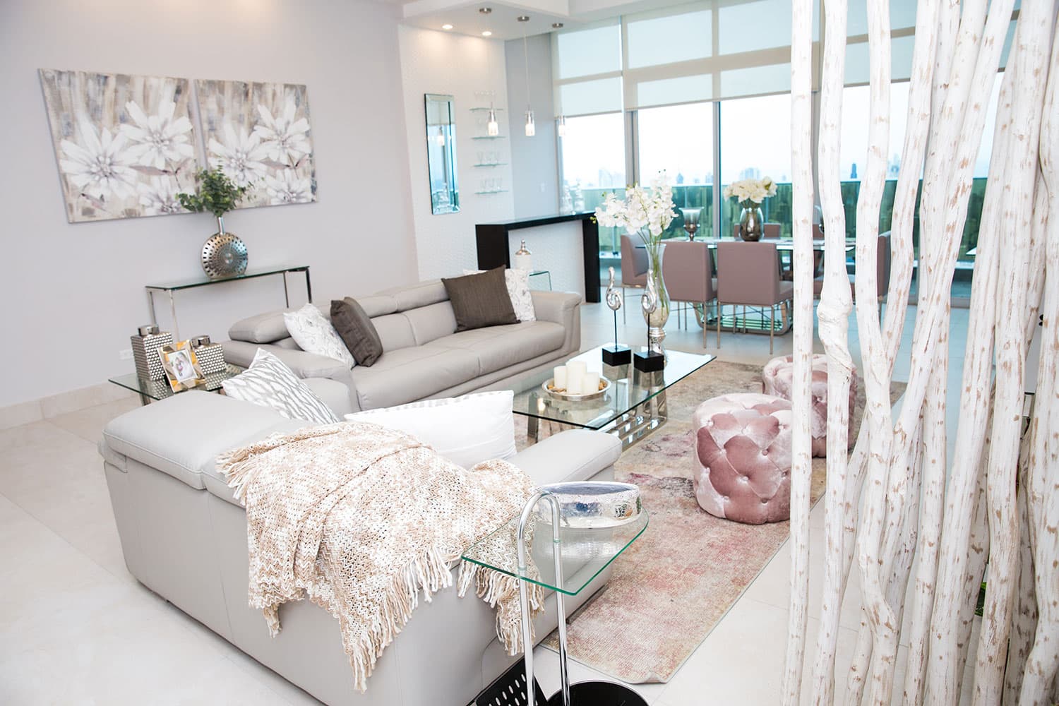 Elite 500 apartment living room