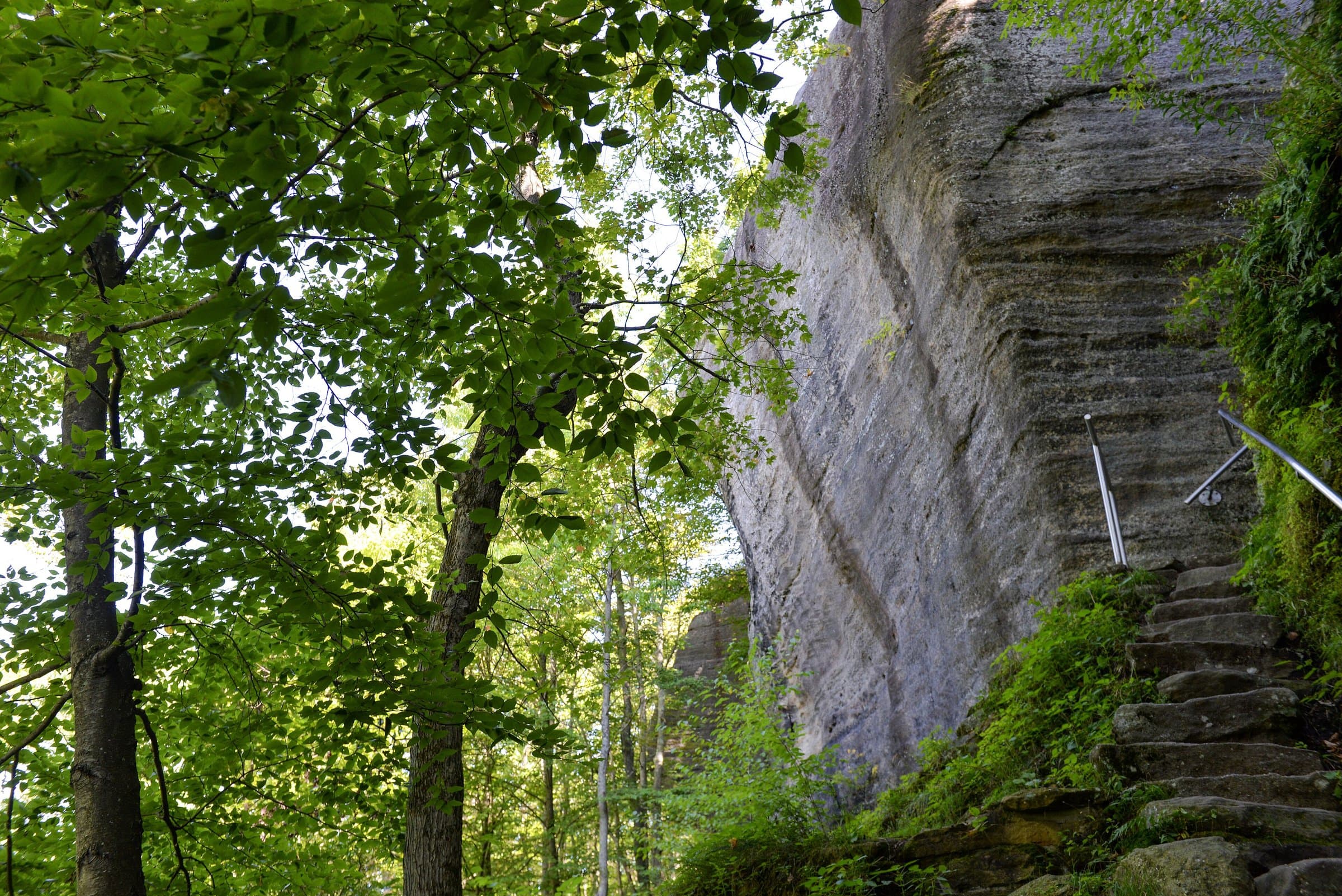 Stone steps with a handrail climbing between rock walls on a forest hiking trail