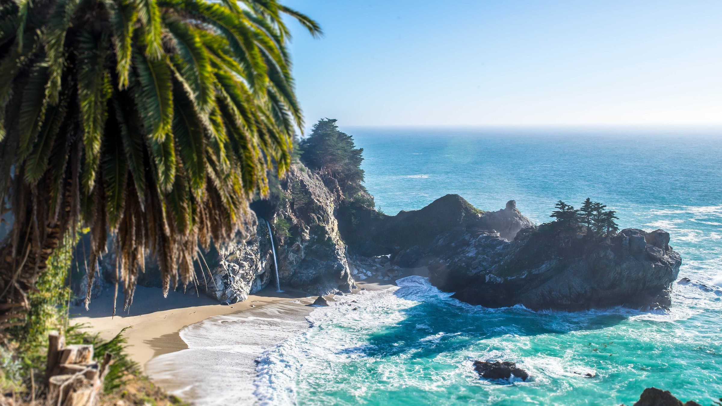 Rocky cove with turquoise water and a palm tree in the foreground, overlooking the open ocean
